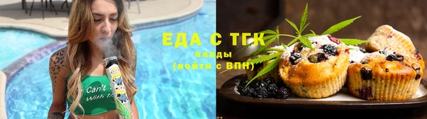 дживик Вязьма