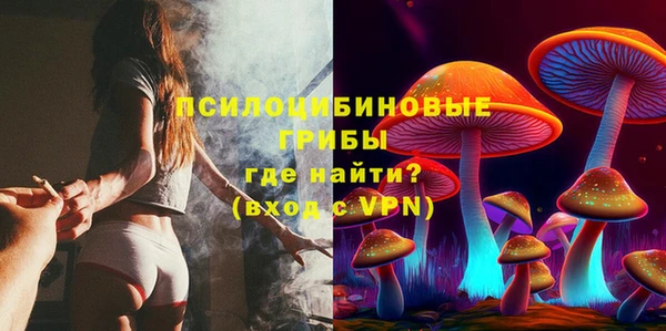дживик Вязьма