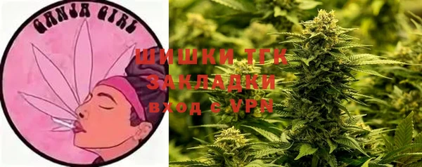 дживик Вязьма