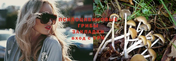 дживик Вязьма